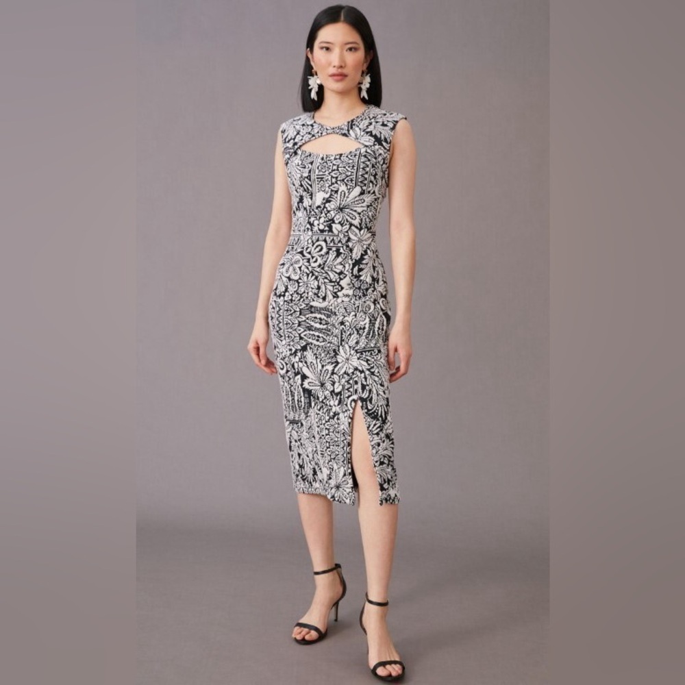Anthropologie Jacquard Midi Dress